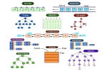 DataTable, DataBase, ADO.NET